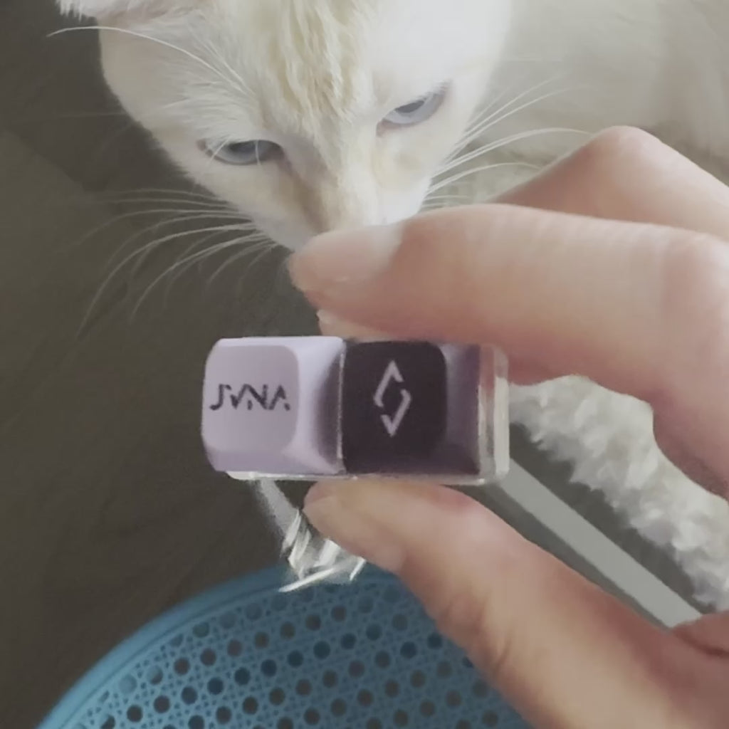 JVNA LED KEYCAP Keychain
